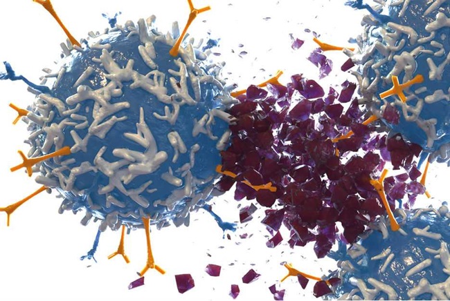 CAR T Cell Therapy graphics